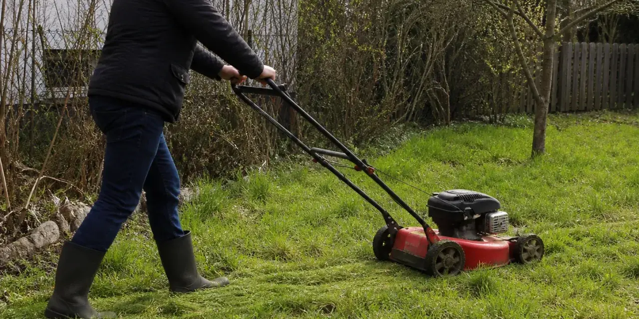 Mężczyzna w gumowcach kosi trawę czerwoną kosiarką w ogrodzie po zimie.