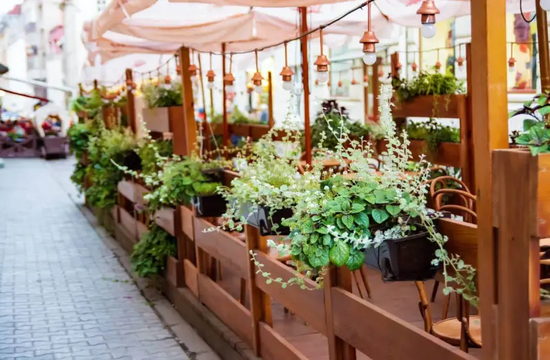 Zielony ogródek przy restauracji, pełen wiszących roślin i drewnianych mebli, zaprasza do odpoczynku.